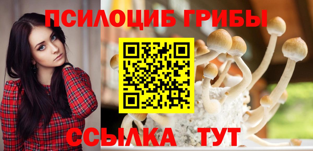 Псилоцибиновые грибы мицелий  Вход с VPN  Хабаровск 