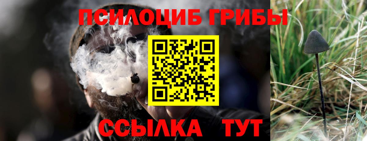 Псилоцибиновые грибы Psilocybine cubensis Хабаровск